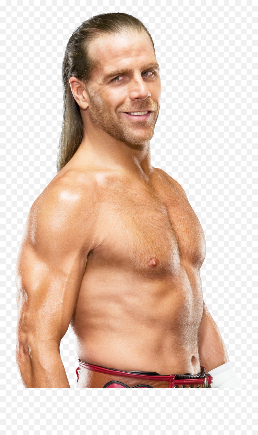 Shawn Michaels Png