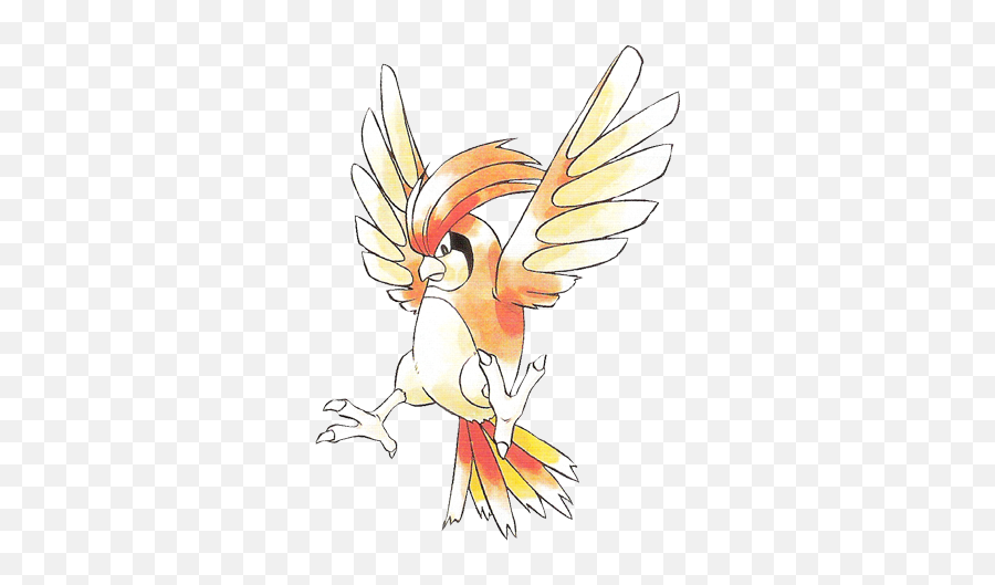 Pidgeotto Png 8 Image - Pidgeotto Sugimori,Pidgey Png