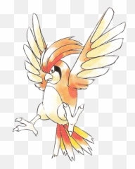 Pidgeotto Png 8 Image - Pidgeotto Sugimori,Pidgey Png