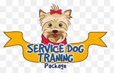 Transparent Dog Training Clip Art - Happy Png,Yorkie Png