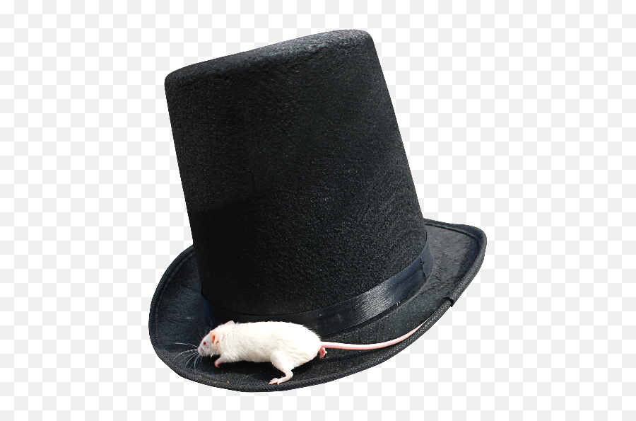 Magician Top Hat Png With White Mouse Isolated - Objects Portable Network Graphics,Rodent Png