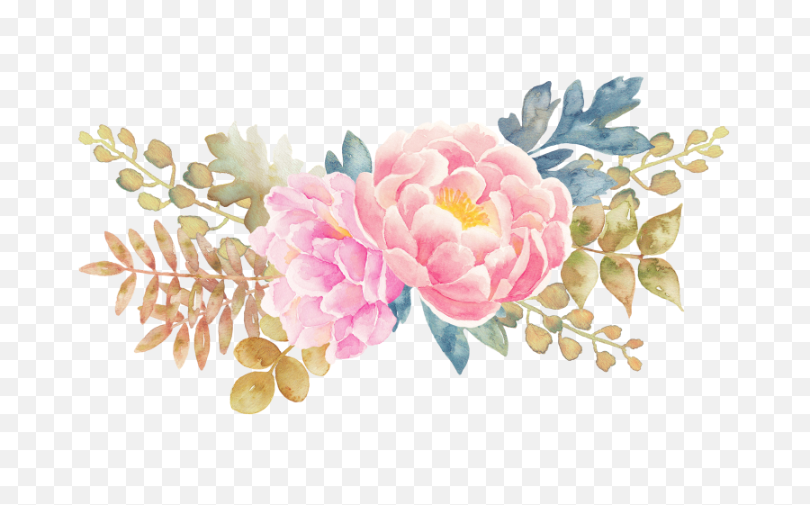 Peony Painting Watercolor Flowers Png Flower