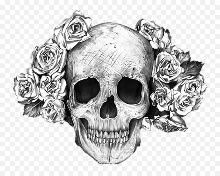 Rose Skull Transparent Png Image - Skull And Roses Tattoo Meaning,Skull Transparent Png