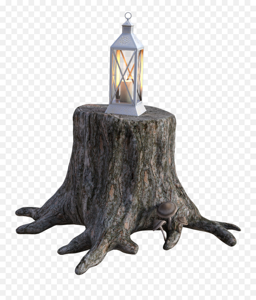 Tree Stump Wood Windlight - Gartendeko Baumstumpf Deko Png,Stump Png
