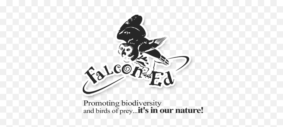 Download Faucon - Éduc Logo Birds Of Prey Full Size Png Cartoon,Prey Png