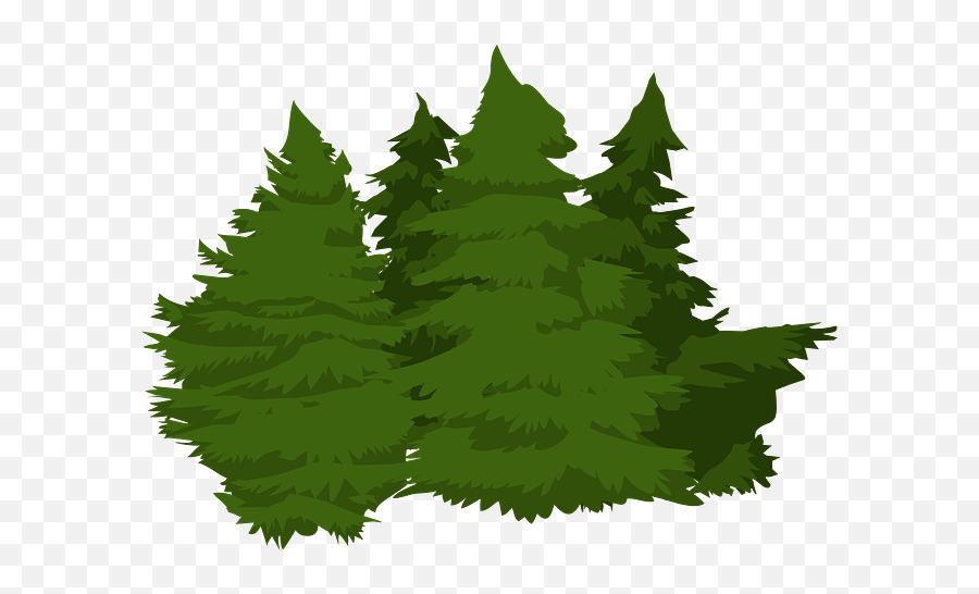 Trees Woods Pines - Free Vector Graphic On Pixabay Woods Png,Christmas Greenery Png