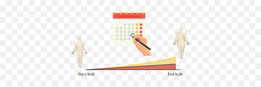 The Ideal Body Fat Percentage To Bulk - Language Png,Body Fat Icon