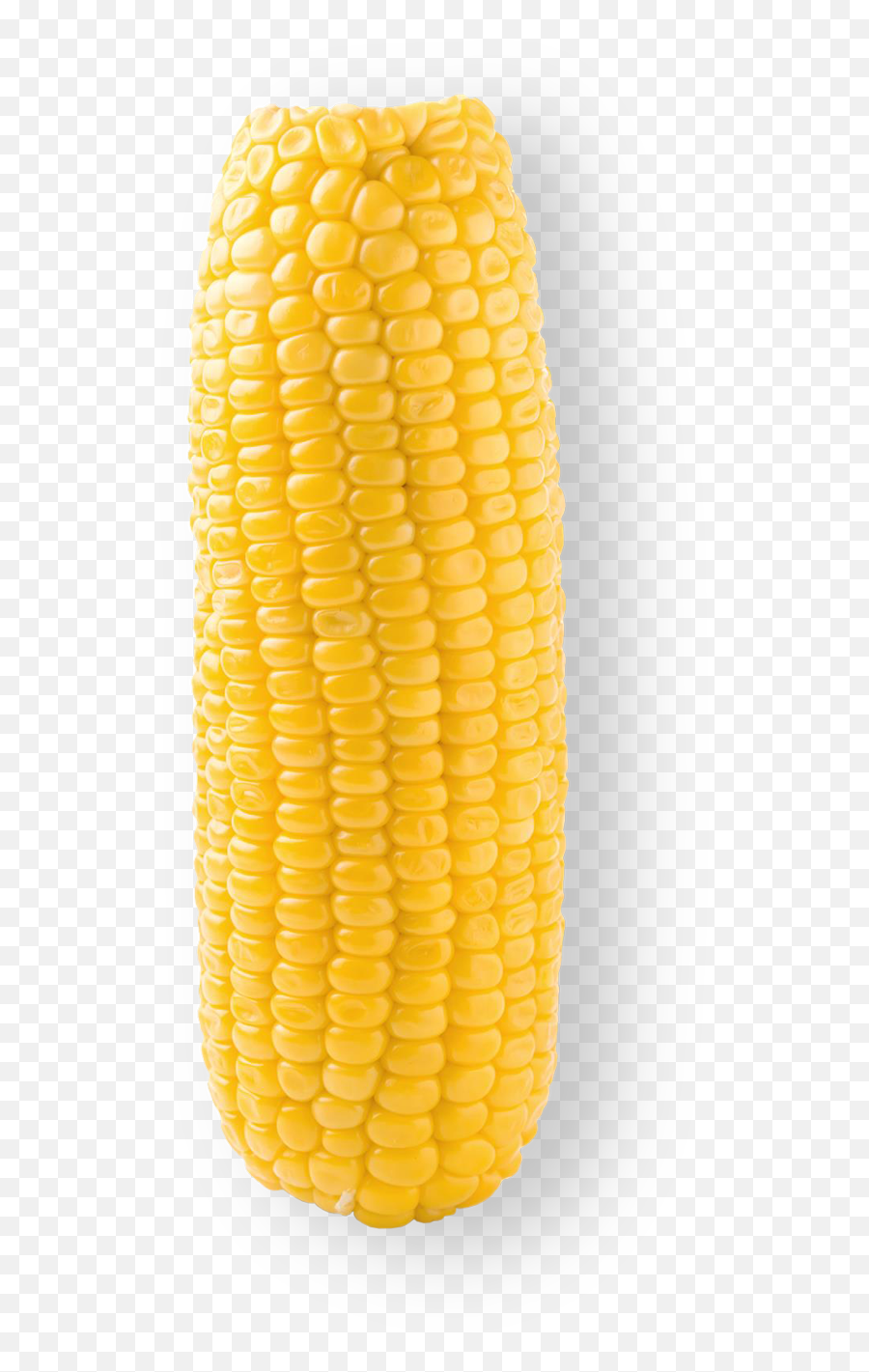 Sweet Corn - Sweetcorn Png,Corn Transparent Background