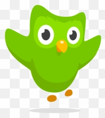 Duolingo U2013 Logos Download - Transparent Icon png