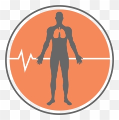 Health - Icon Clipart Full Size 698049 PinClipart Transparent Physical png