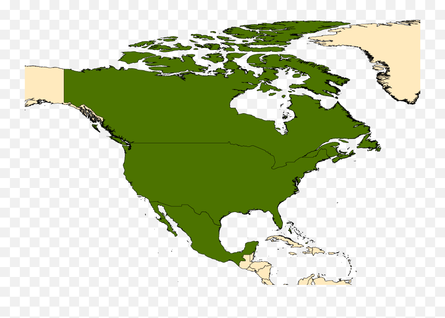 Culex Salinarius Coquillett 1904 Walter Reed - Map Of Emerald Ash Borer Infestation Canada Png,Elizabeth Gillies Icon