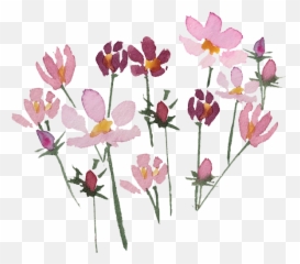 Alyssa Bolton And John Aulbachu0027s Wedding Website - Gentians Png,Wusthof Classic Icon