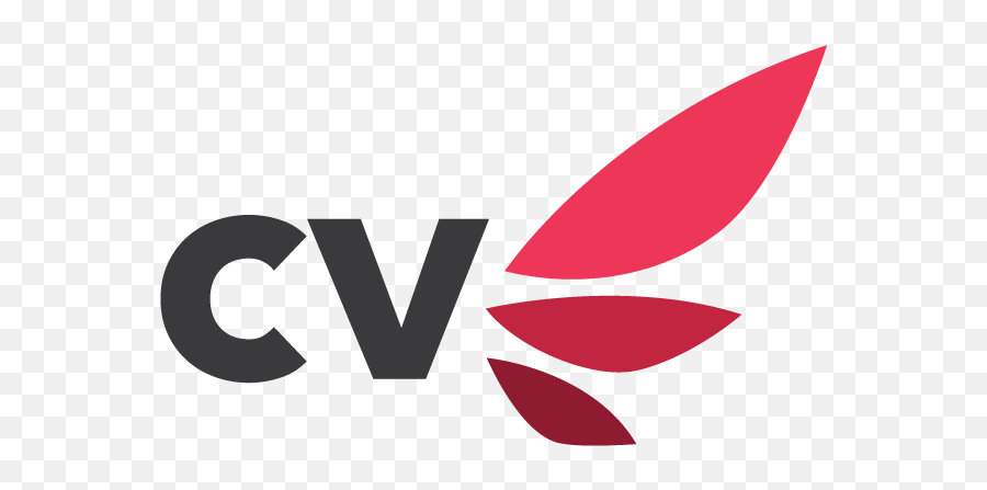 Cardinal Ventures Investor Group U2014 Republic - Language Png,Vevo Icon