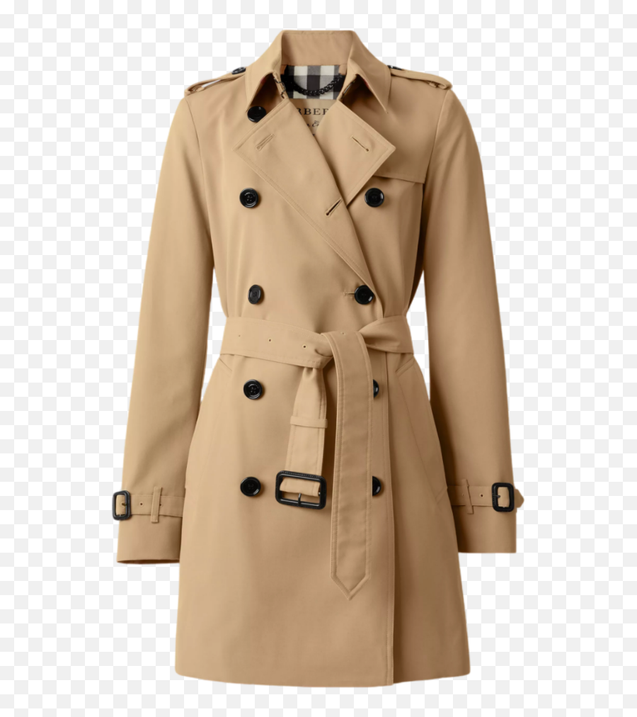 Save Vs Splurge Designer Inspired Pieces For Fall - Maggie Harbourne Trench Burberry Burberry Harbourne Png,Burberry Icon