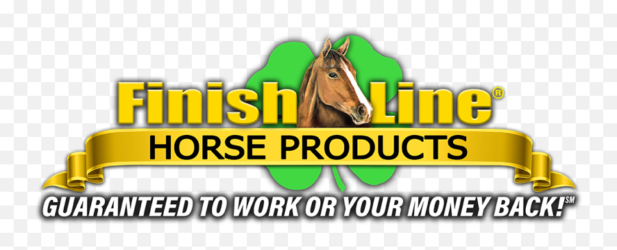 Finish Line Horse Products Inc Nasc Live - Gilad Bodies In Motion Png,Finish Line Png