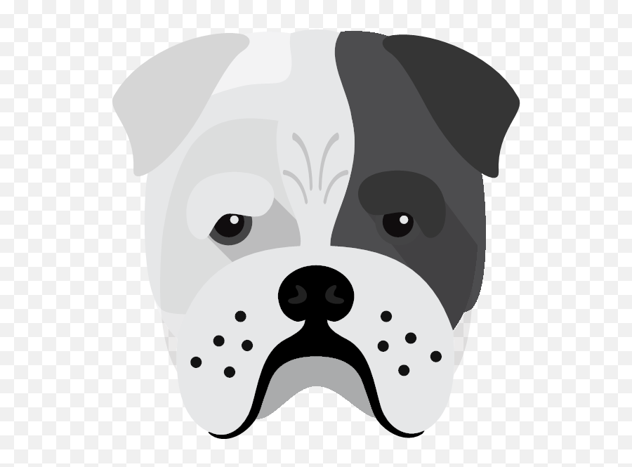 Create A Tailor - Made Shop Just For Your Bull Pei Soft Png,Bull Dog Icon