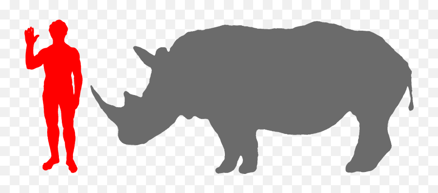 Clipcookdiarynet - Rhino Clipart Big 5 22 2300 X 942 For Png,Rhino Png