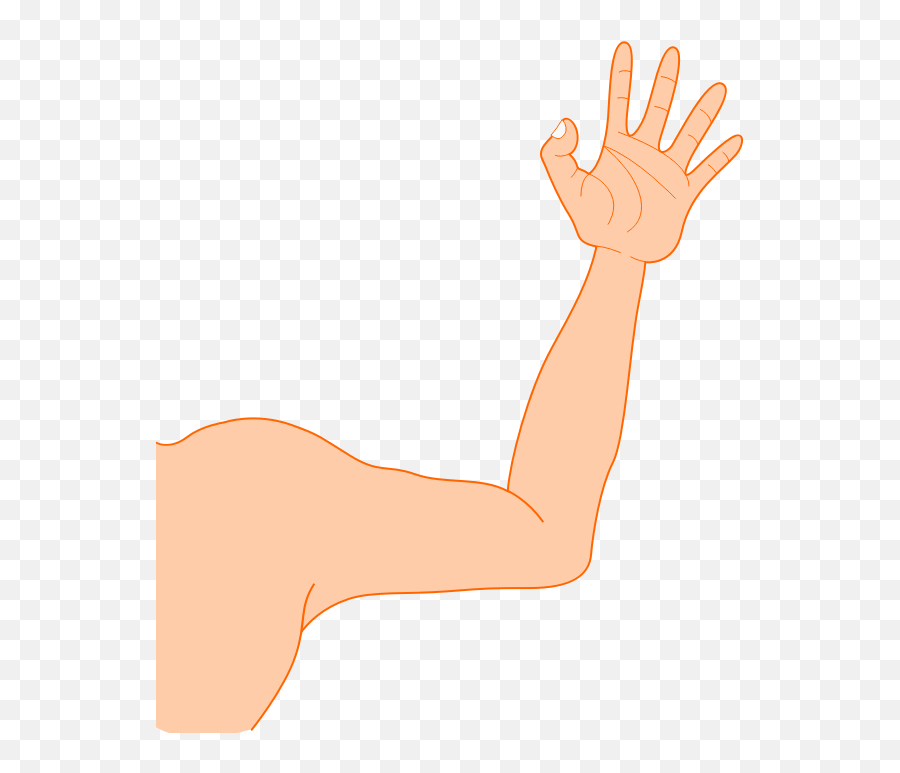 Cartoon Arm Png 5 Image - Transparent Arm Clipart,Cartoon Arm Png