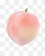 Swish - Katy Perry On We Heart It Peach Png,Swish Png