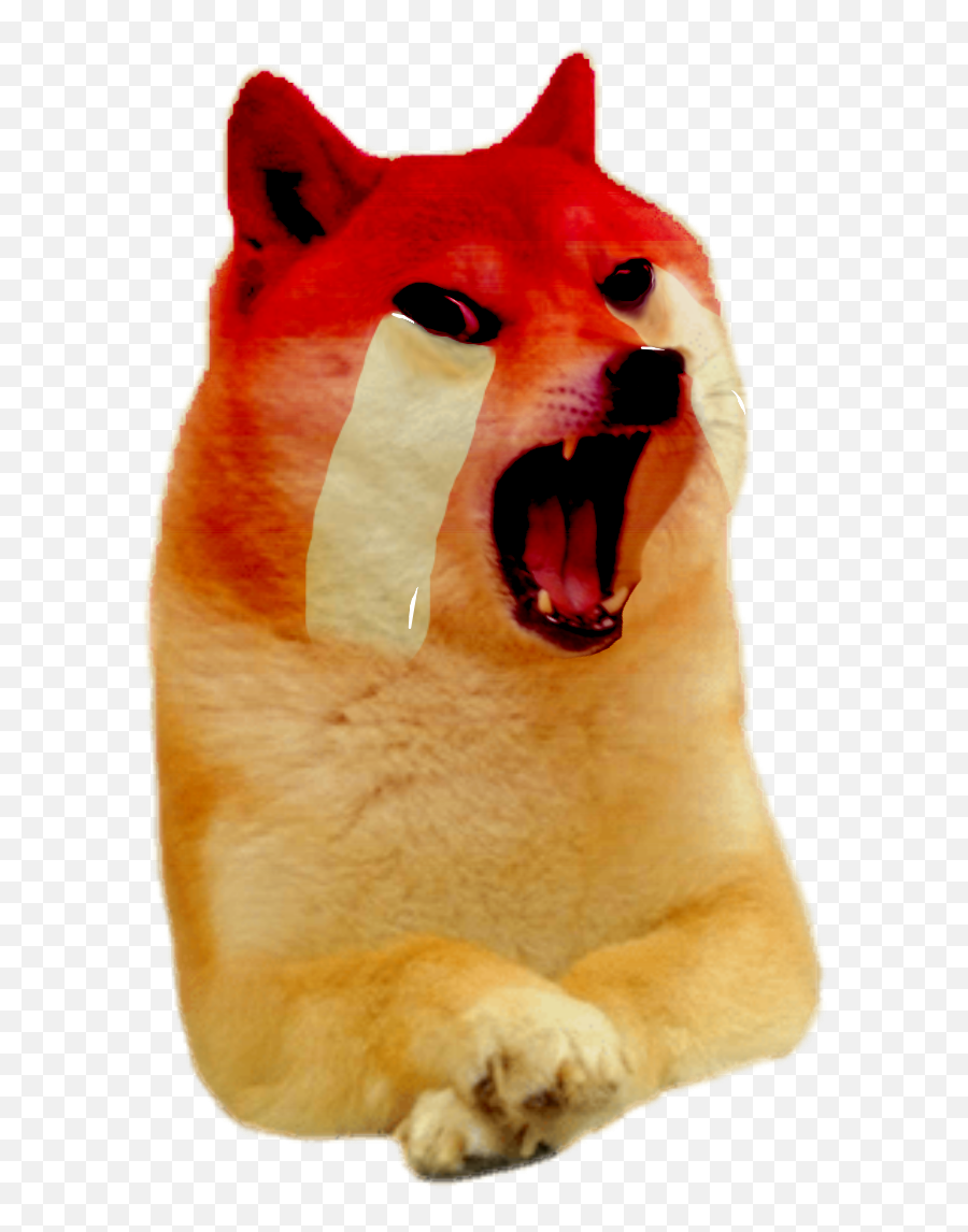 Le Adult Rage Png Dogelore - Transparent Background Doge Meme Png,Screaming Png