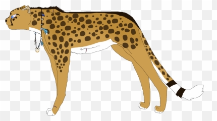Download My Cheetah Oc - Cheetah Full Size Png Image Pngkit Portable Network Graphics,Cheetah Png