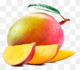 Png Hd Wallpaper - Mango Fruta,Mango Png
