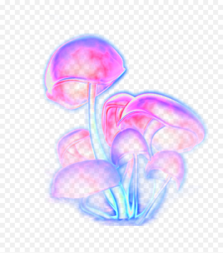 Download Mushrooms Shrooms Trippy Trippyart Freetoedit - Trippy Transparent Mushroom Png,Mushrooms Png