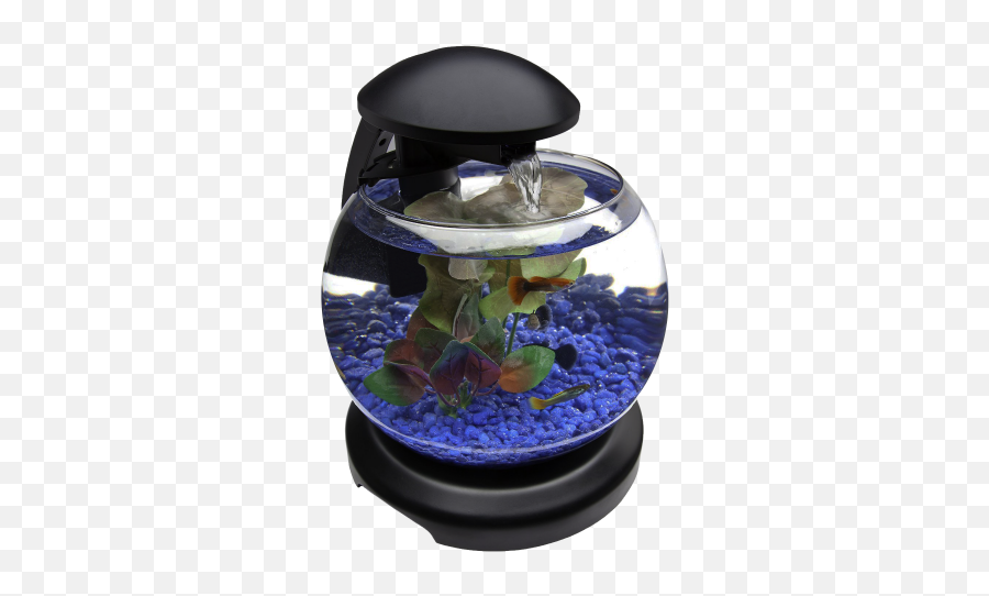 Glob Aquarium Fish Tank Png Transparent - Fishes Aquarium Transparent Img,Fish Tank Png