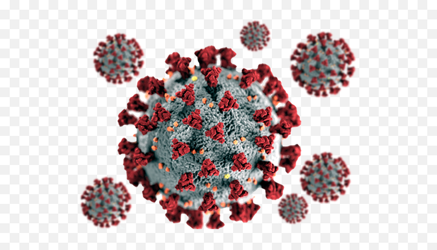 Коронавирус jpg. Вирус ВИЧ под микроскопом. Коронавирус PNG. Covid-19 возбудитель. Covid 19 s
