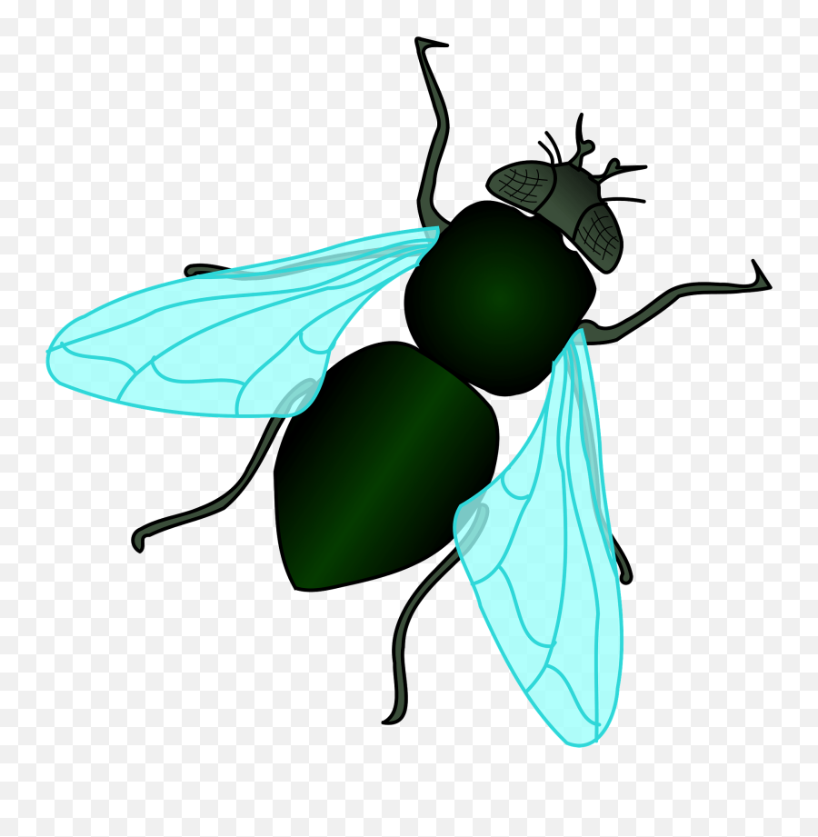 Green House Fly Clipart - Clip Art Fly Png,Fly Transparent