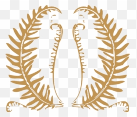Ferns - Fern Hill Hotel Decorative Png,Ferns Png