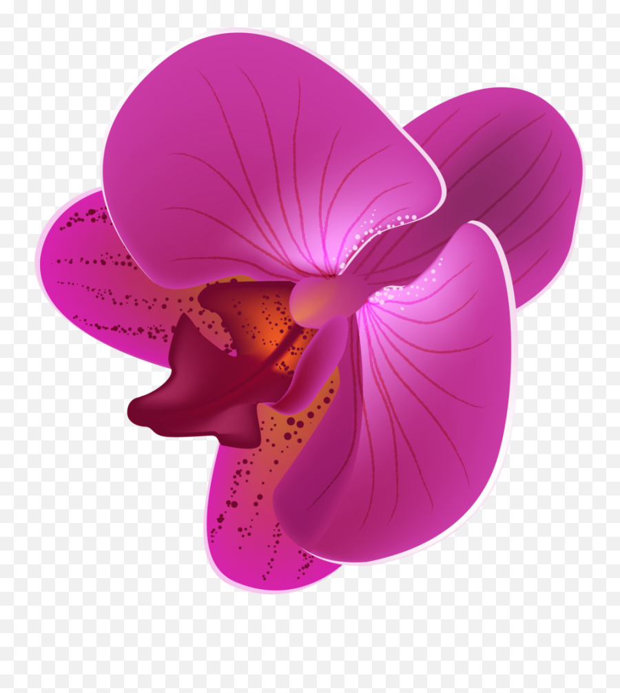 Orchid Png - Vector Orchid Flower Png,Orchid Png