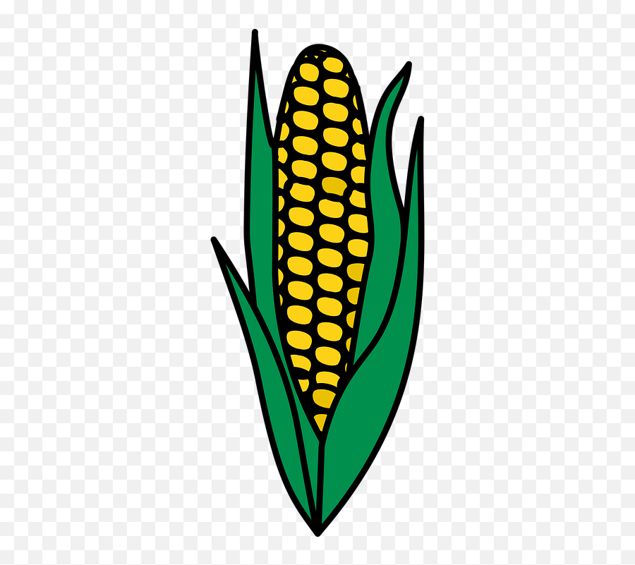 Corn Food Maize - Coat Of Arms Corn Png,Corn Plant Png