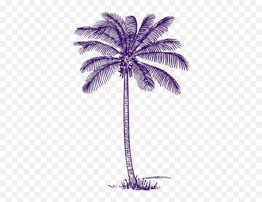 Palm Tree Png Svg Clip Art For Web - Download Clip Art Png Palm Tree Drawing Png,Palm Tree Emoji Png