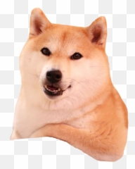 Cutouts - Shiba Inu Transparent Background Png,Shiba Inu Transparent