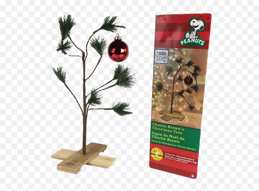 Tall Peanuts Charlie Browns - Cupressaceae Png,Charlie Brown Christmas Tree Png