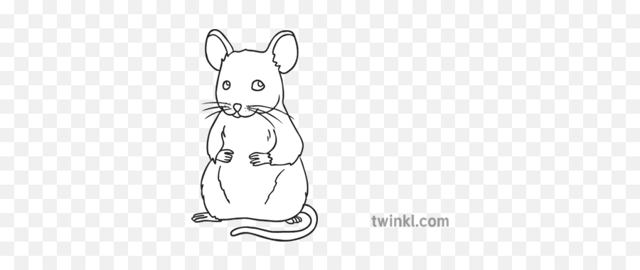 Mouse Animal Open Eyes Ks1 Black And White Rgb Illustration - Decorating Gingerbread Cookie Clipart Png,Mouse Animal Png
