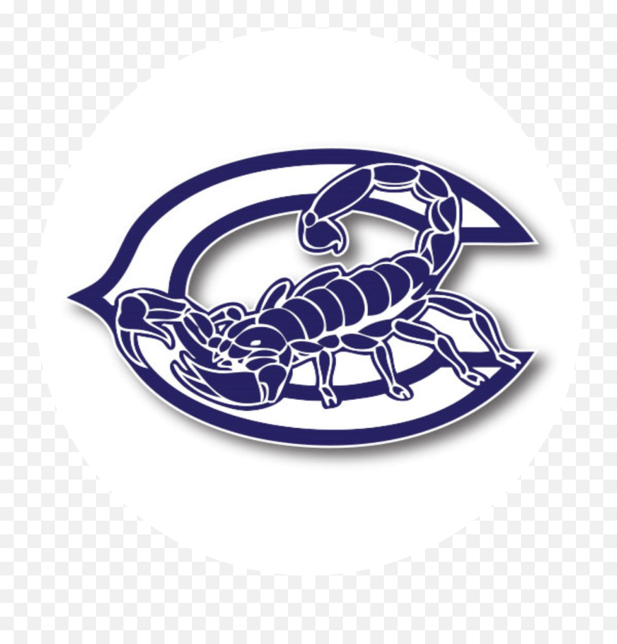 Achs Weekly Update - January 18 2019 Achs School Site Adolfo Camarillo High School Scorpion Png,Geek Squad Logo