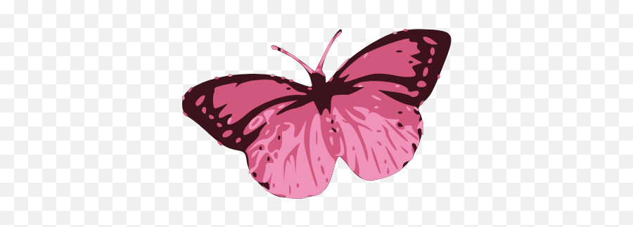 Gtsport Decal Search Engine - Aesthetic Mariposas Sticker Rosados Png,Butterfly Icon Image Girly