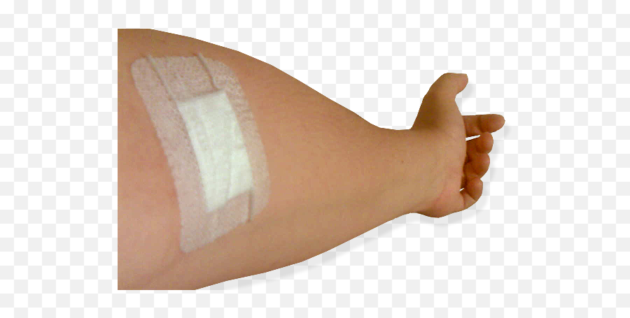 Fileblooddonor Afterpng - Wikimedia Commons Blood Donation On Arm,Blood Hand Png