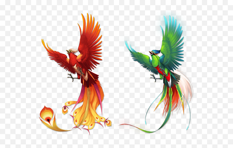 Download Color Pattern Fenghuang Bird Phoenix Free Frame - Color Of A Phoenix Png,Phoenix Bird Png