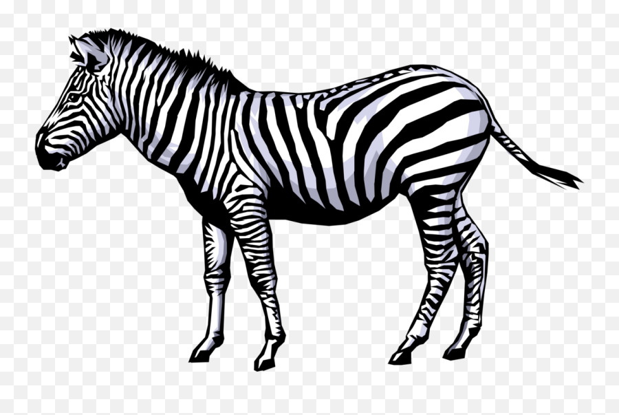 Zebra Png Image With Transparent Background Arts - Living Things Clipart Black And White,Zebra Logo Png