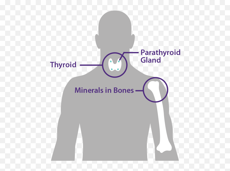 Secondary Hyperparathyroidism Hpt Treatment For Patients - For Adult Png,Dialysis Icon