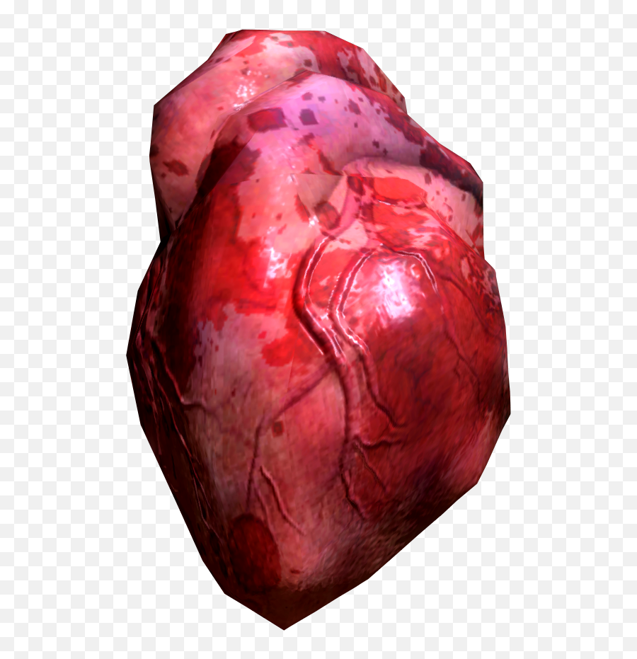 Real Heart Transparent Png Clipart - Skyrim Human Heart,Anatomical Heart Png