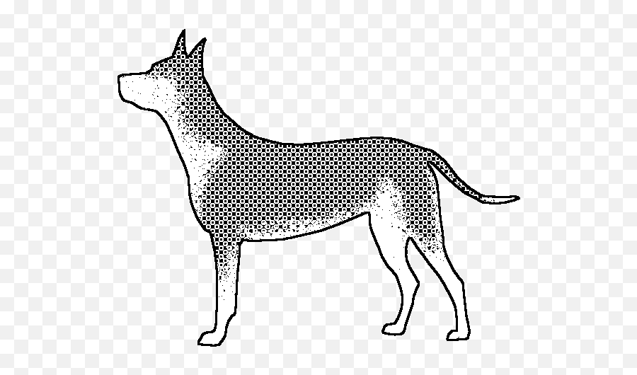 Fileicon Urajirogif - Wikimedia Commons Ancient Dog Breeds Png,Doberman Icon