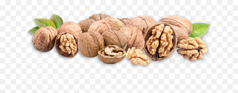 Walnut Png - Walnet Png,Walnut Transparent