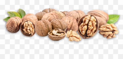 Walnut Png - Walnet Png,Walnut Transparent