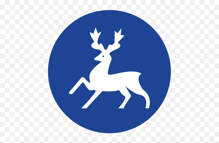 Index Of Wp - Contentuploads201912 Decorative Png,Elk Icon