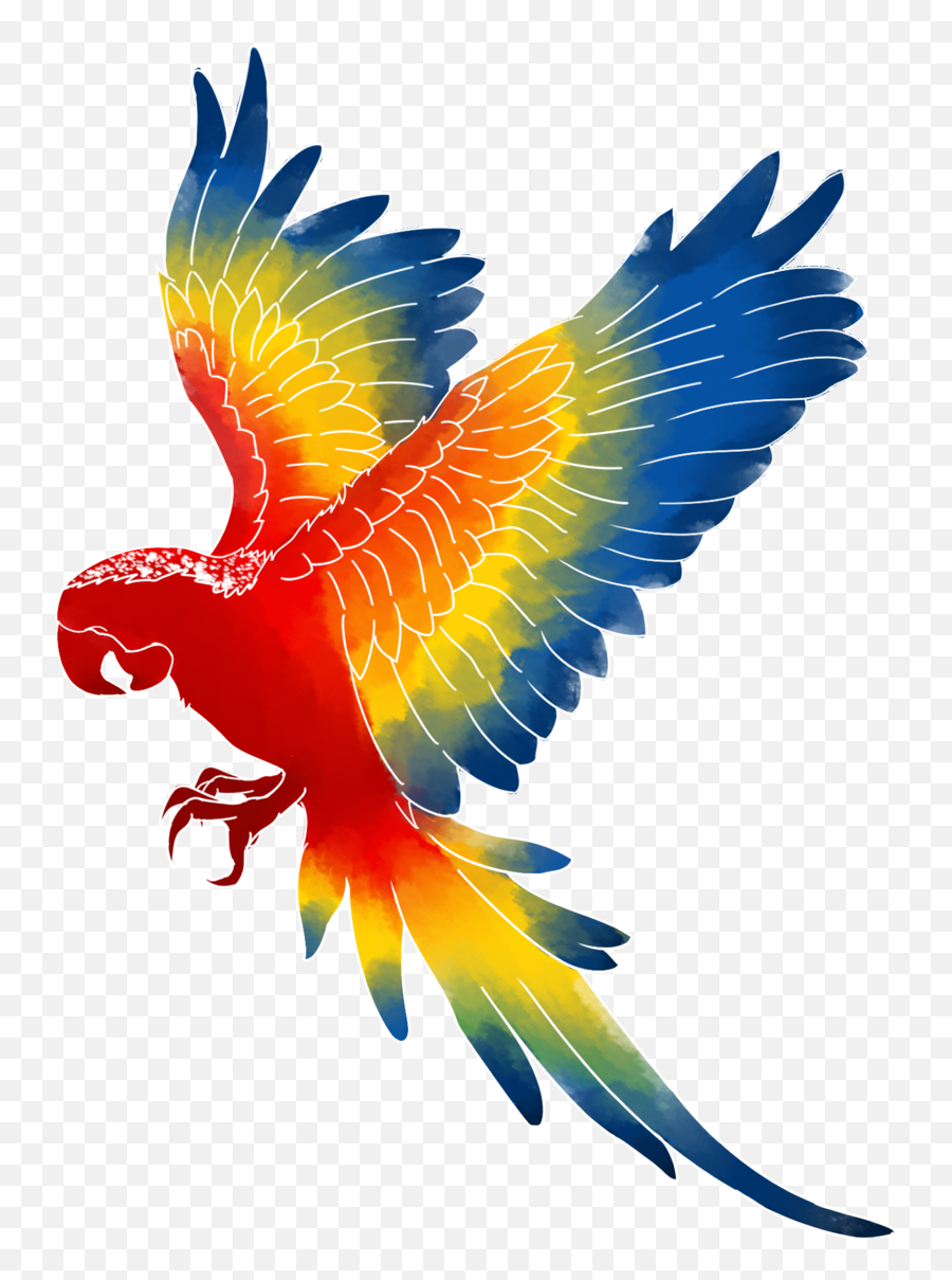 Macaw Png Transparent Images All - Clipart Macaw Png,Parrot Transparent Background