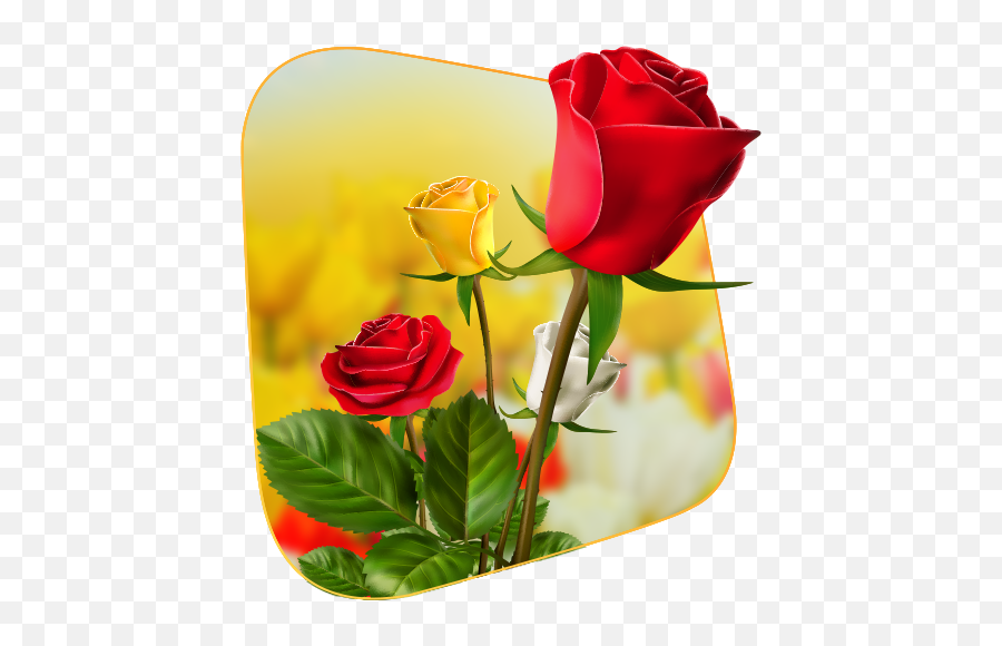 360 Flower Live Wallpaper 3d Apk 104 - Download Apk Latest Lovely Png,Blue Rose Icon